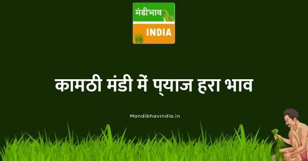 Onion Green भाव